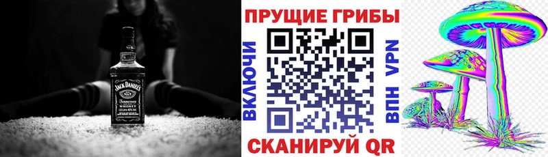 Галлюциногенные грибы Magic Shrooms  купить закладку  Ефремов 