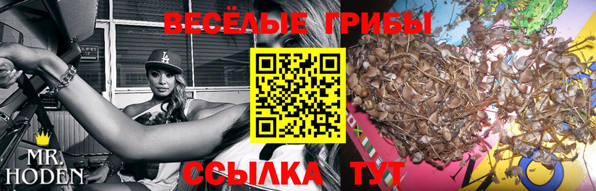 Галлюциногенные грибы ЛСД  наркота  Ефремов  Вход с VPN 