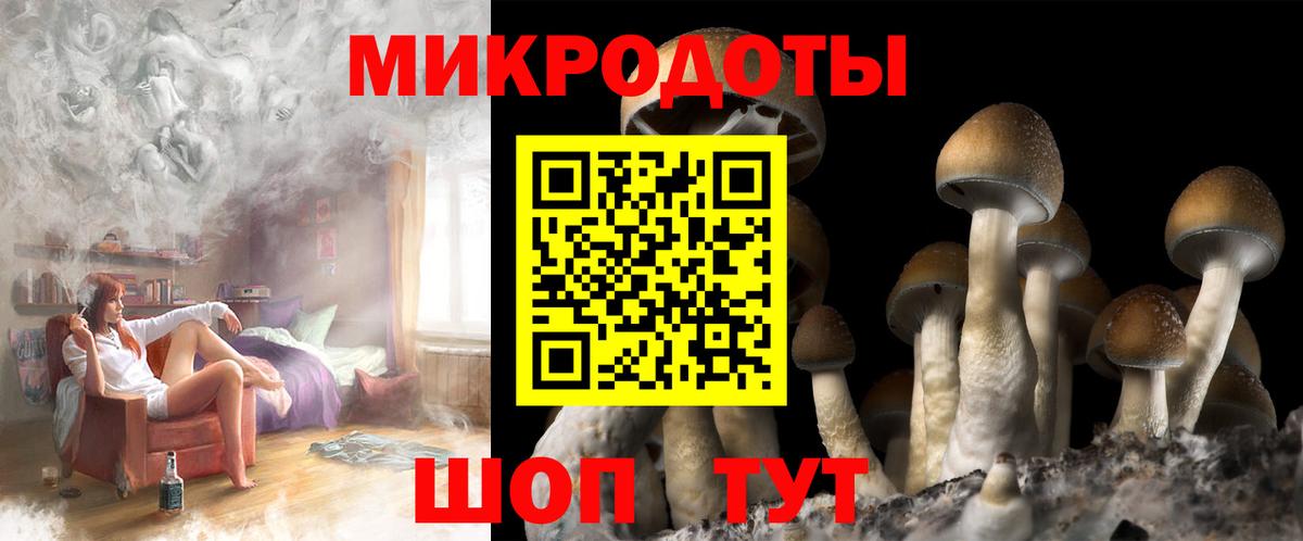 Галлюциногенные грибы прущие грибы Ефремов
