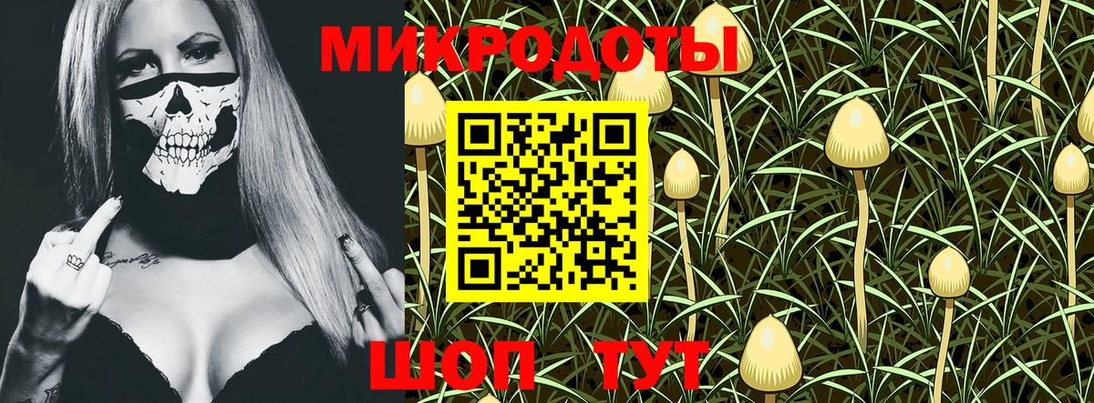 Псилоцибиновые грибы мухоморы  как найти закладки  Ефремов  Псилоцибиновые грибы Cubensis 