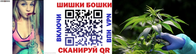 блэк спрут зеркало  Ефремов  Канабис марихуана 